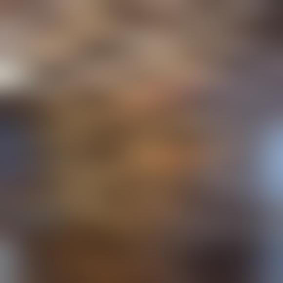 NWT Db Collection Sleeveless Leopard Dress With Short Sleeved Blazer. - Picture 4 of 16